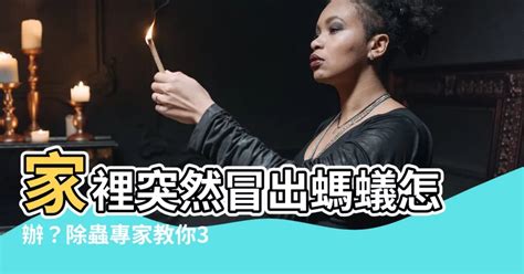 家中螞蟻多|家裡突然冒出很多小螞蟻怎麼辦？滅蟲專家教3招徹底。